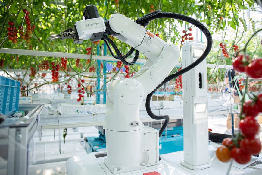 Europese tomaten groeien dankzij autotechnologie